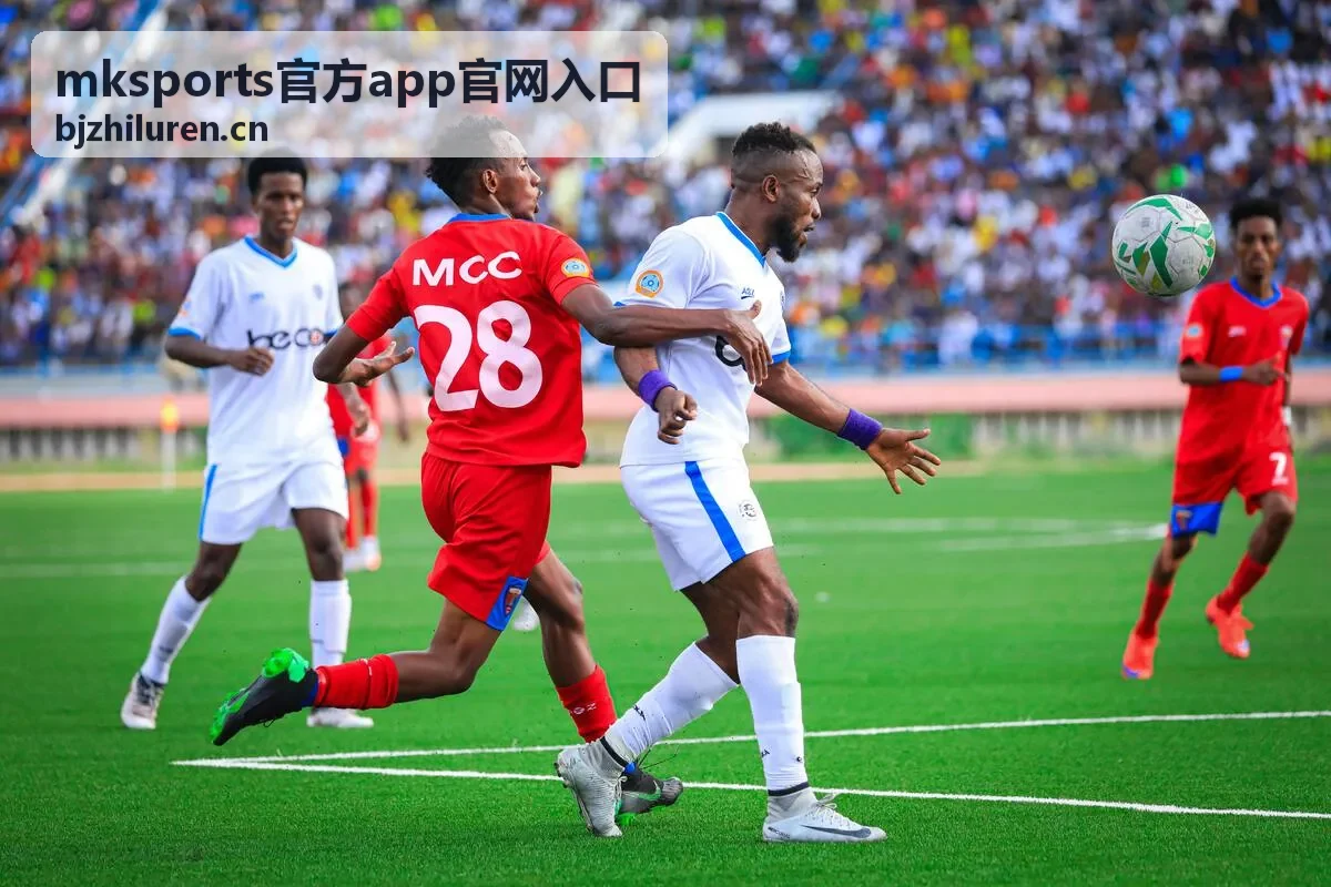 mksports官方app官网入口登录异常提示与排查顺序示意