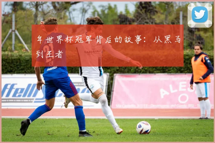 年世界杯冠军背后的故事：从黑马到王者