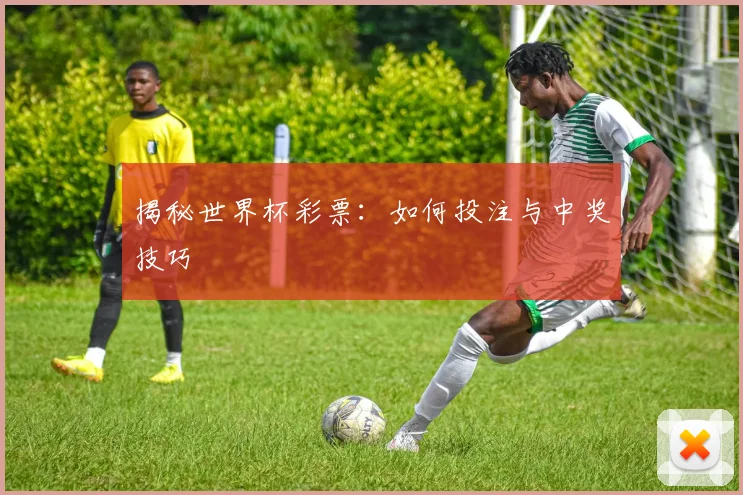 揭秘世界杯彩票：如何投注与中奖技巧