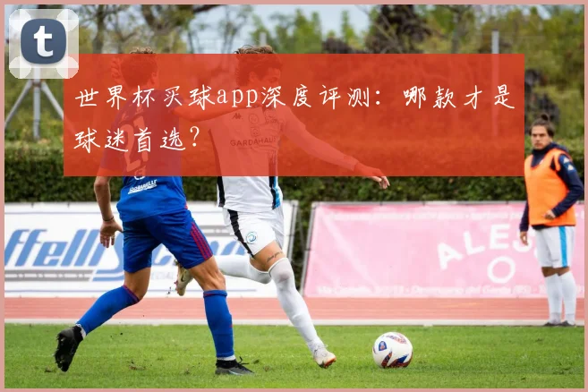 世界杯买球app深度评测：哪款才是球迷首选？